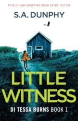 Little Witness (ISBN: 9781803147215)