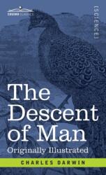 Descent of Man (ISBN: 9781646794072)