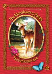 The Adventures of Brindi - The Orphaned Fawn (ISBN: 9780648848547)