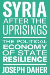 Syria After the Uprisings (ISBN: 9781608469352)