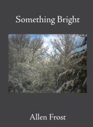 Something Bright (ISBN: 9781639017133)