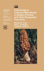 Field Guide to Common Macrofungi in Eastern Forests and Their Ecosystem Function (ISBN: 9781839310300)