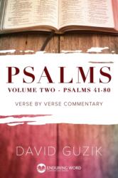 Psalms 41-80 (ISBN: 9781939466501)