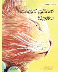 Healer Cat (ISBN: 9789523572843)