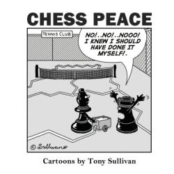 Chess Peace (ISBN: 9780646804897)