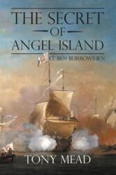 Secret of Angel Island (ISBN: 9781787192904)