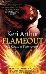 Flameout (ISBN: 9780349410982)