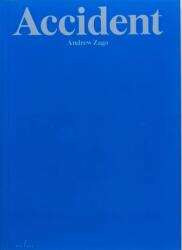 Accident (ISBN: 9789490800796)