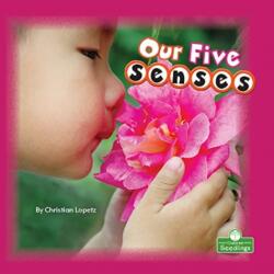 Our Five Senses (ISBN: 9781039600065)