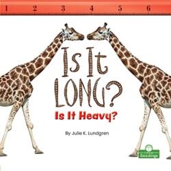 Is It Long? Is It Heavy? (ISBN: 9781039600034)