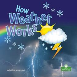 How Weather Works (ISBN: 9781039600027)