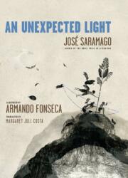 An Unexpected Light - Armando Fonseca, Margaret Jull Costa (ISBN: 9781644213407)