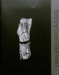 I Walked Into a Cave And Up To Paradajs (ISBN: 9783945900109)