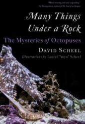 Many Things Under a Rock (ISBN: 9781324076292)