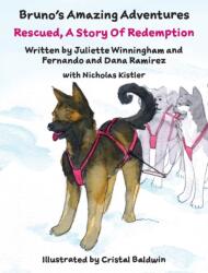 Rescued (ISBN: 9781734770162)