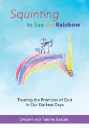 Squinting to See the Rainbow (ISBN: 9781940645995)