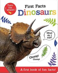 First Facts Dinosaurs (ISBN: 9781801050418)