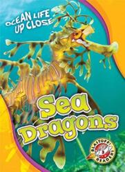 Sea Dragons (ISBN: 9781626176447)