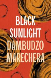 Black Sunlight (ISBN: 9781803289083)