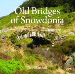 Old Bridges of Snowdonia (ISBN: 9781845243944)