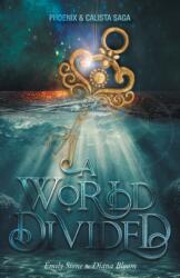 A World Divided (ISBN: 9781039149649)