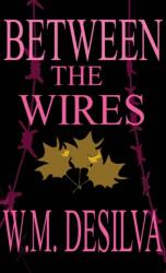 Between The Wires (ISBN: 9780989617284)