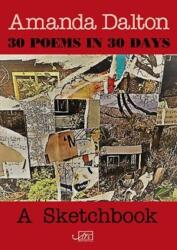 30 Poems in 30 Days (ISBN: 9781910345832)