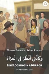 Like Looking in a Mirror (ISBN: 9781949650280)