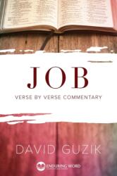 Job (ISBN: 9781939466471)
