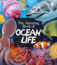 The Amazing Book of Ocean Life (ISBN: 9781839408137)