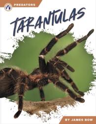 Predators: Tarantulas (ISBN: 9781637387771)