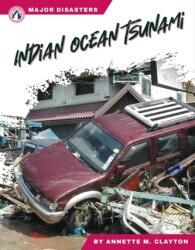 Major Disasters: Indian Ocean Tsunami (ISBN: 9781637387597)