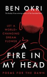 A Fire in My Head (ISBN: 9781803281285)