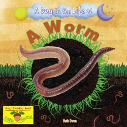 A Worm (ISBN: 9781788564373)