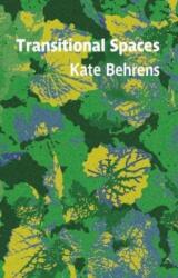 Transitional Spaces (ISBN: 9781909747944)