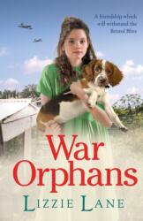 War Orphans (ISBN: 9781802807943)