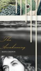 Awakening (ISBN: 9781626543164)