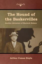 Hound of the Baskervilles (ISBN: 9781618955104)