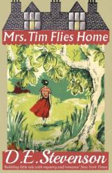 Mrs. Tim Flies Home (ISBN: 9781912574575)