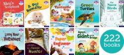 Essential Letters & Sounds: Essential Phonic Readers: OL 1-7 Review SEBP (ISBN: 9781382038966)