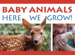 Animals! (ISBN: 9780823456833)