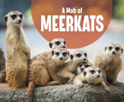 Mob of Meerkats (ISBN: 9781474785334)