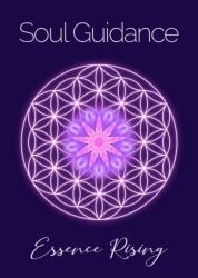 Soul Guidance (ISBN: 9781838234010)