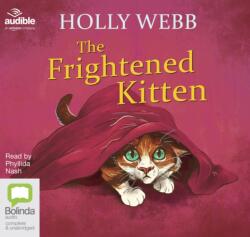 Frightened Kitten (ISBN: 9781489458667)
