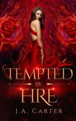 Tempted by Fire (ISBN: 9781990056123)