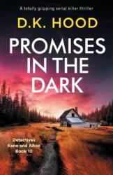 Promises in the Dark (ISBN: 9781838888534)