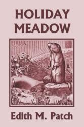 Holiday Meadow (ISBN: 9781633340480)