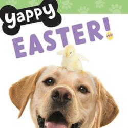Yappy Easter! (ISBN: 9781546006466)