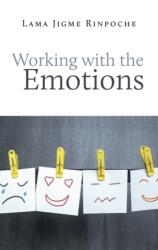 Working With the Emotions (ISBN: 9782360170111)
