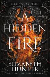 Hidden Fire (ISBN: 9781959590118)